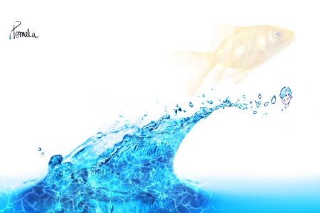 Pomeladrop: Salto en el agua